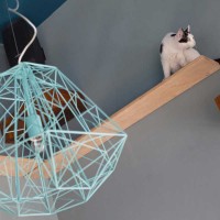 ro_190115_05
