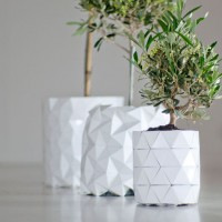 GROWTH by Bike Ayaskan and Begum Ayaskan