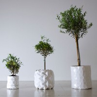 GROWTH by Bike Ayaskan and Begum Ayaskan