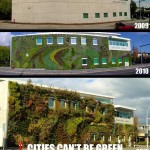 The Evolution Of A Green Wall
