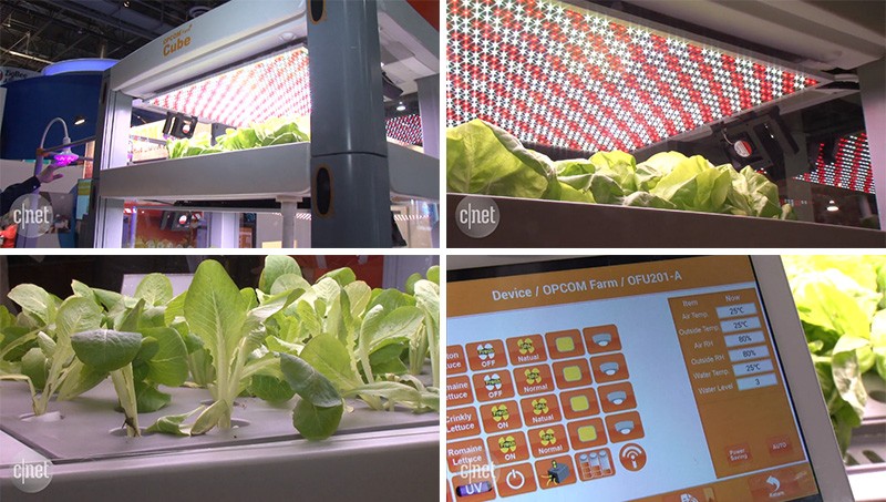 The Farm Cube uses LED lights to grow leafy greens inside your home