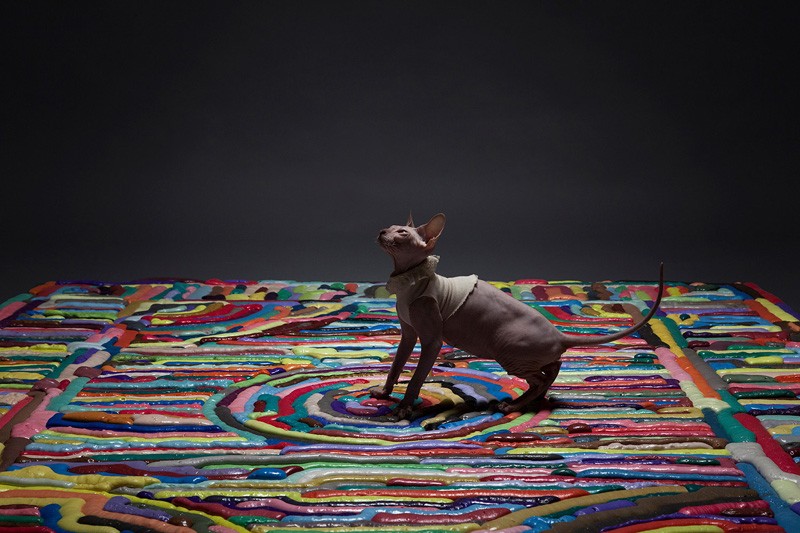 These Colorful Carpets Are Made From Soft Foam