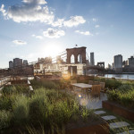 This rooftop garden in New York is like a meadow in the sky