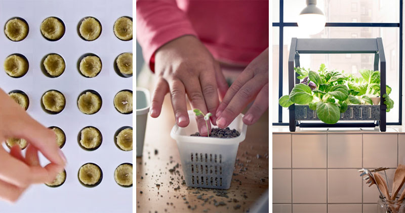 The KRYDDA/VÄXER series, an indoor gardening series by IKEA