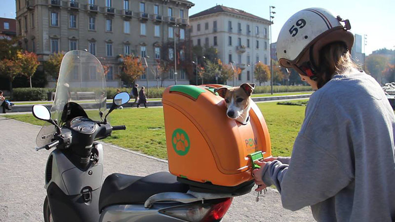 This hard-shell pet carrier has been designed to transport pets on scooters