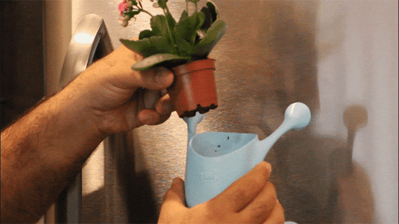 Livi, a cute little planter that sticks to most surfaces