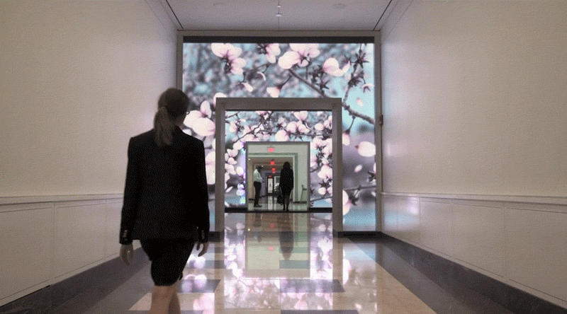 This Motion-Activated Mural Inside Terrell Place In Washington DC, Moves When You Do