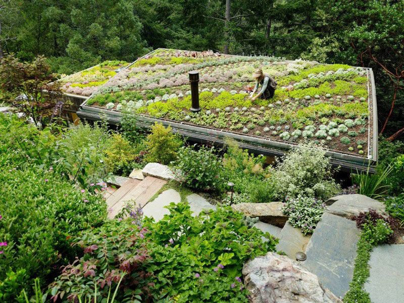 8 Benefits Of Installing A Green Roof On Your Home
