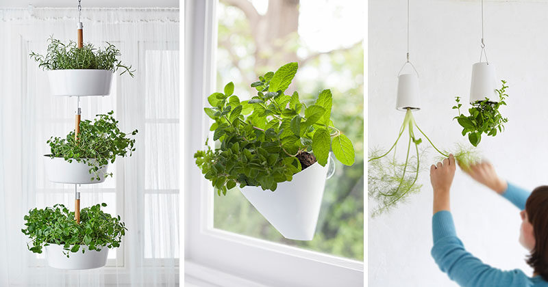 Indoor Garden Idea ? Hang Your Plants From The Ceiling & Walls