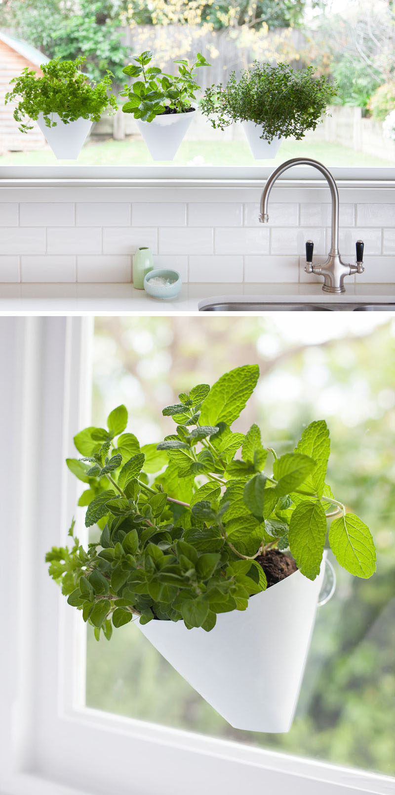 Indoor Garden Ideas - Hang Your Plants From The Ceiling & Walls // These planters suction cup to the window.