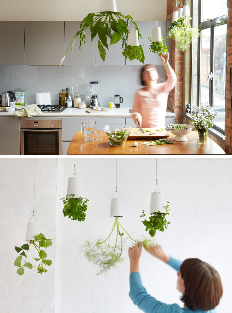 How do you hang indoor plants?