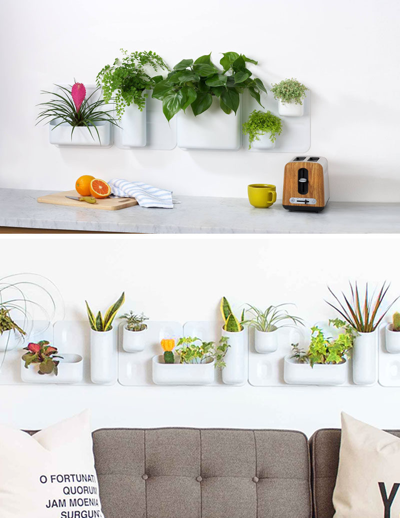 Indoor Garden Ideas - Hang Your Plants From The Ceiling & Walls // Configure your garden in anyway you like using these planters that stick to the wall using magnetic plates. They allow you to move things whenever you want, making it great for when your plants outgrow the configuration they start in.