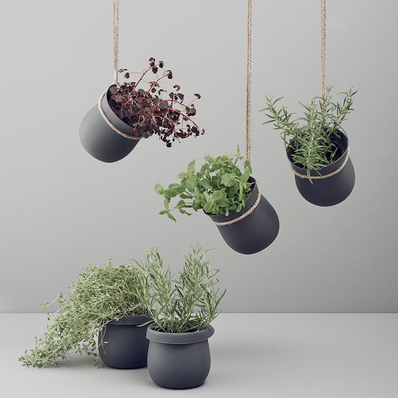 Indoor Garden Ideas - Hang Your Plants From The Ceiling & Walls // Matte black hangers wrapped in twine make a fabulous statement in your space and give your plants a stylish place to hang out.