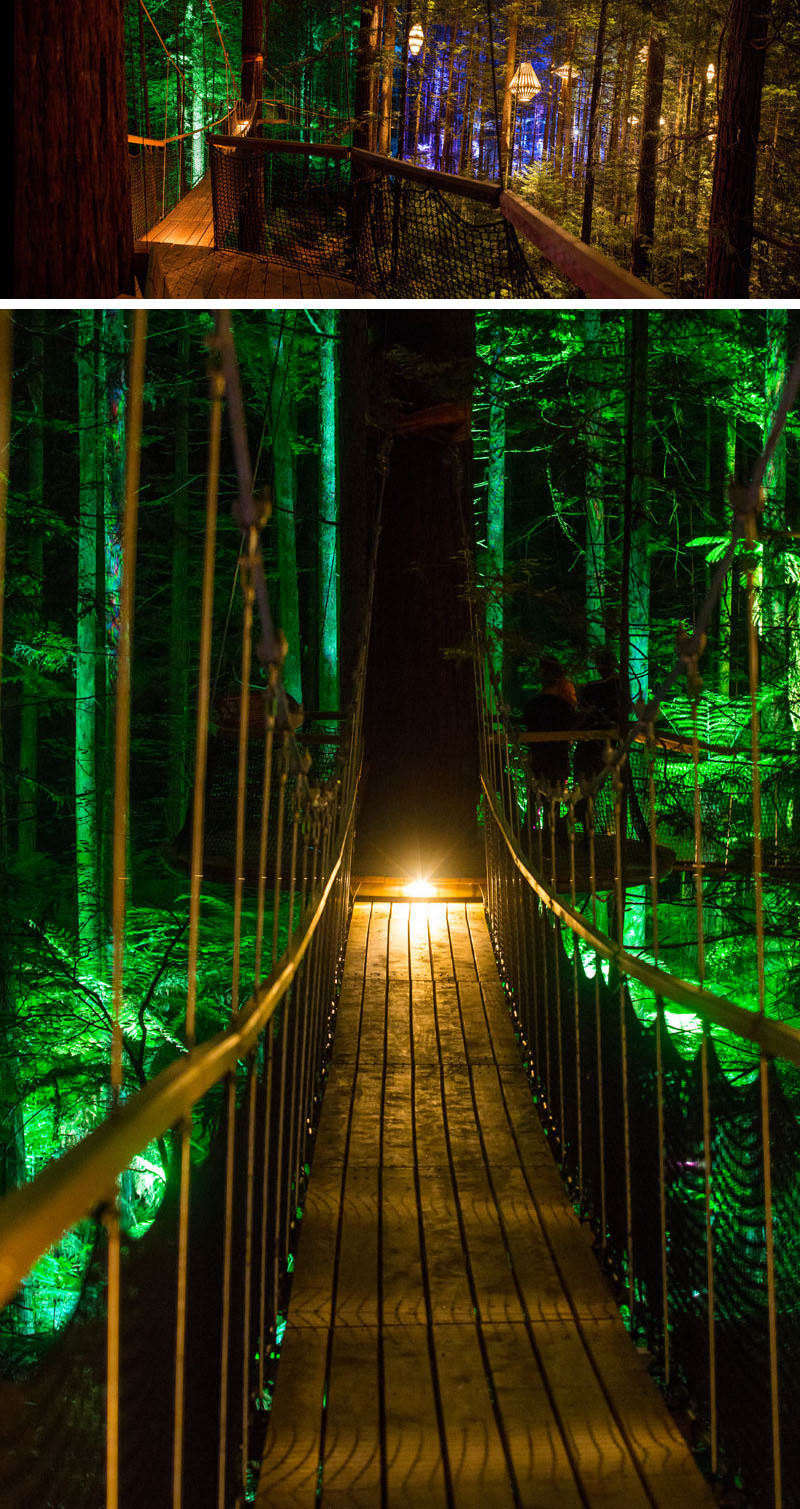 Sculptural lights by david trubridge have been added to a treewalk ...