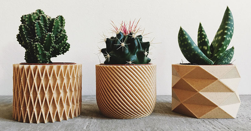 These Biodegradable Planters Are Made From 3D Printed Wood