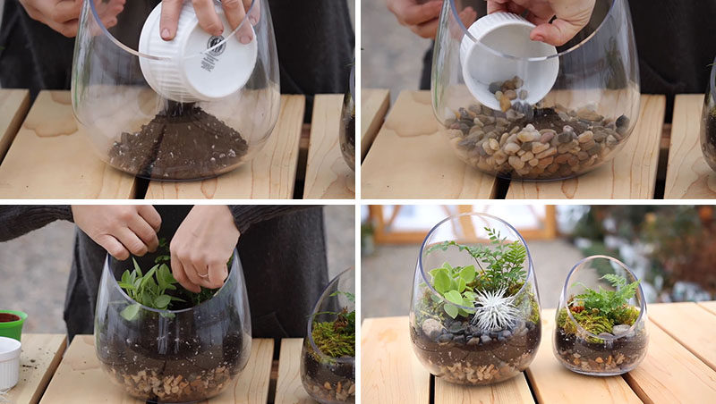 How to Build A Terrarium, Display Your Plants