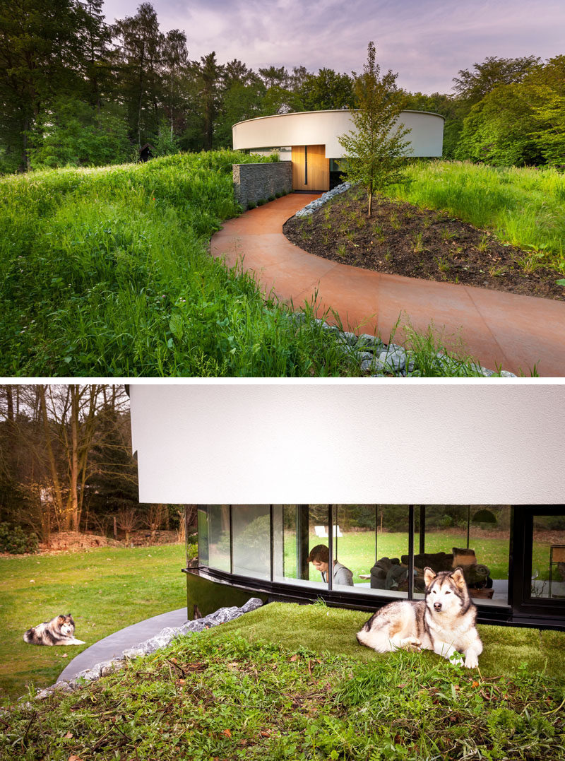 Located in an opening in a Dutch forest, this small, circular modern house was designed for a couple and their Alaskan malamute dogs. The circular house that measures in at 914 square feet (85 m²) features a metal walkway leading up to the large wooden door and is tucked right into the hillside to help reduce it's impact on the landscape and allowing it to blend in better with the surroundings.