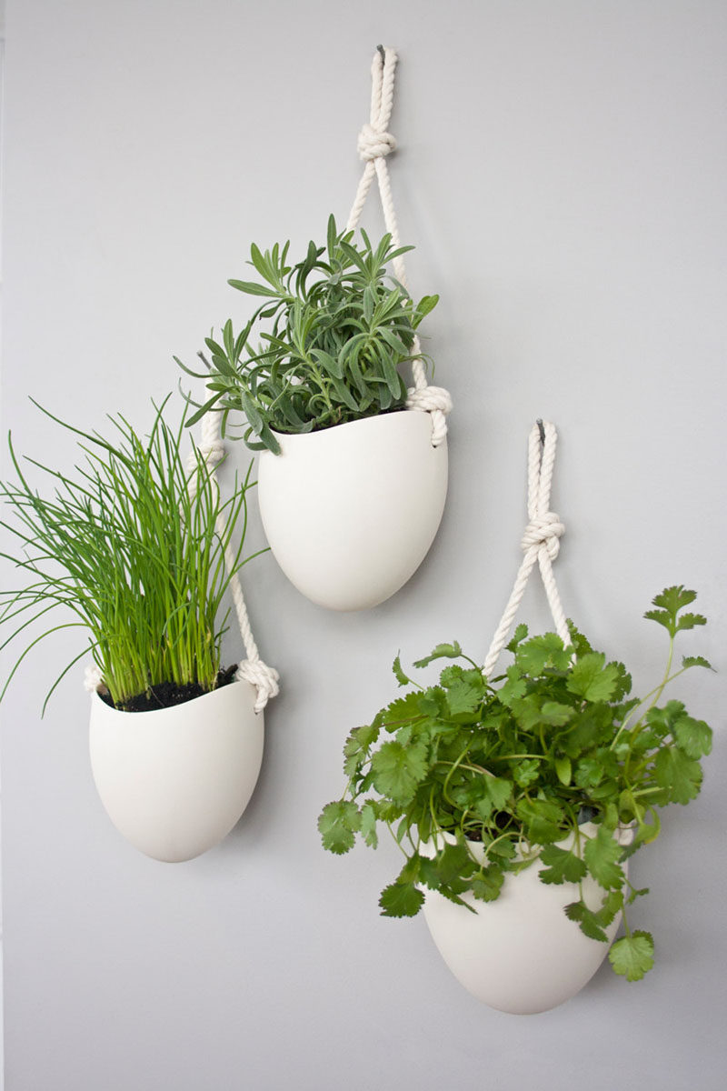 10 Modern Wall Mounted Plant Holders To Decorate Bare 