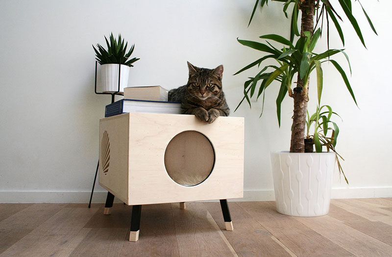 modern cat beds