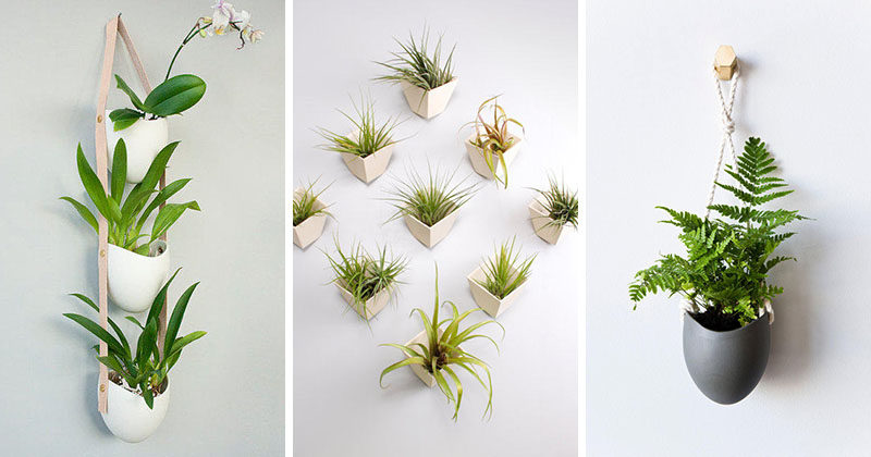 Farrah Sit of design studio Light + Ladder, has created a collection of ceramic wall planters that are combined with other materials like rope or leather to create contemporary art-like installations that show off your small plants. 