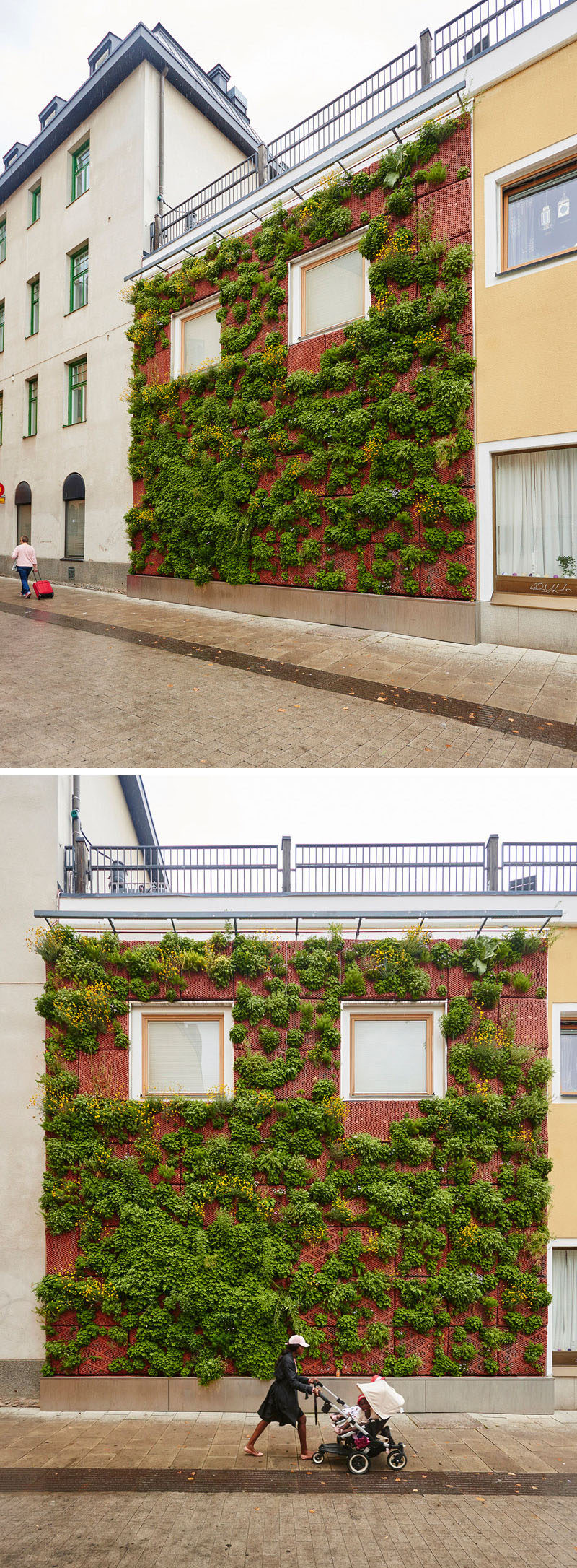 Butong, a Swedish company that creates cast concrete panels, have installed a green wall on a small building in Uppsala. #GreenWall #VerticalGarden #BuildingFacade