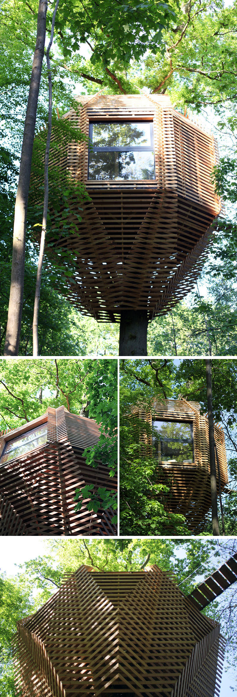 Atelier LAVIT đã thiết kế Nhà Cây gốc cho khách hàng của họ tại Pháp, những người muốn có một cabin độc đáo.  #ModernTreeHouse #TreeHouse # Kiến trúc sư