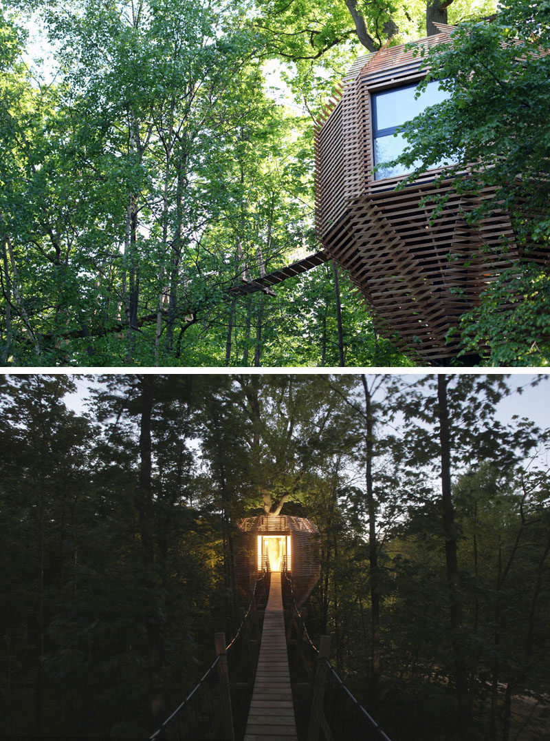 Một lối đi bằng gỗ, cách mặt đất mười mét, dẫn bạn thẳng vào trung tâm của ngôi nhà cây hiện đại này.  #ModernTreeHouse #TreeHouse