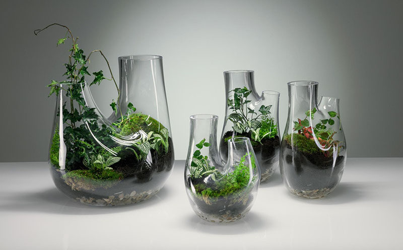 PLANT By Tom Dixon Can Be Used As A Vase Or A Terrarium