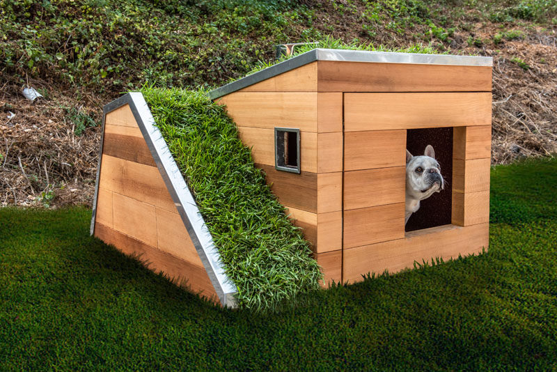 Studio Schicketanz have designed a modern Dog Dream House, that features wood construction, a green roof, storage for toys and snacks, a motion activated faucet, and a solar powered fan. #DogHouse #ModernDogHouse #Architecture #Design