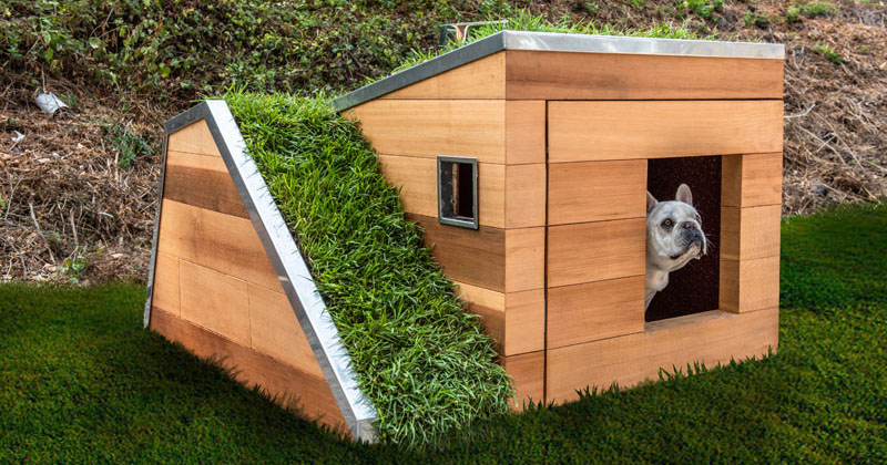 dog house