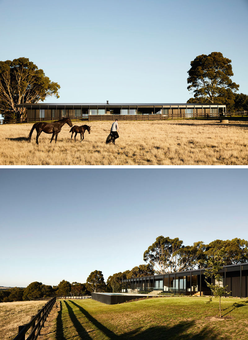 This modern farmhouse features three elongated pavilions that form a U shape, while the exterior has been clad in blackened timber, giving the home a monochromatic appearance. #ModernHouse #ModernArchitecture #HouseDesign