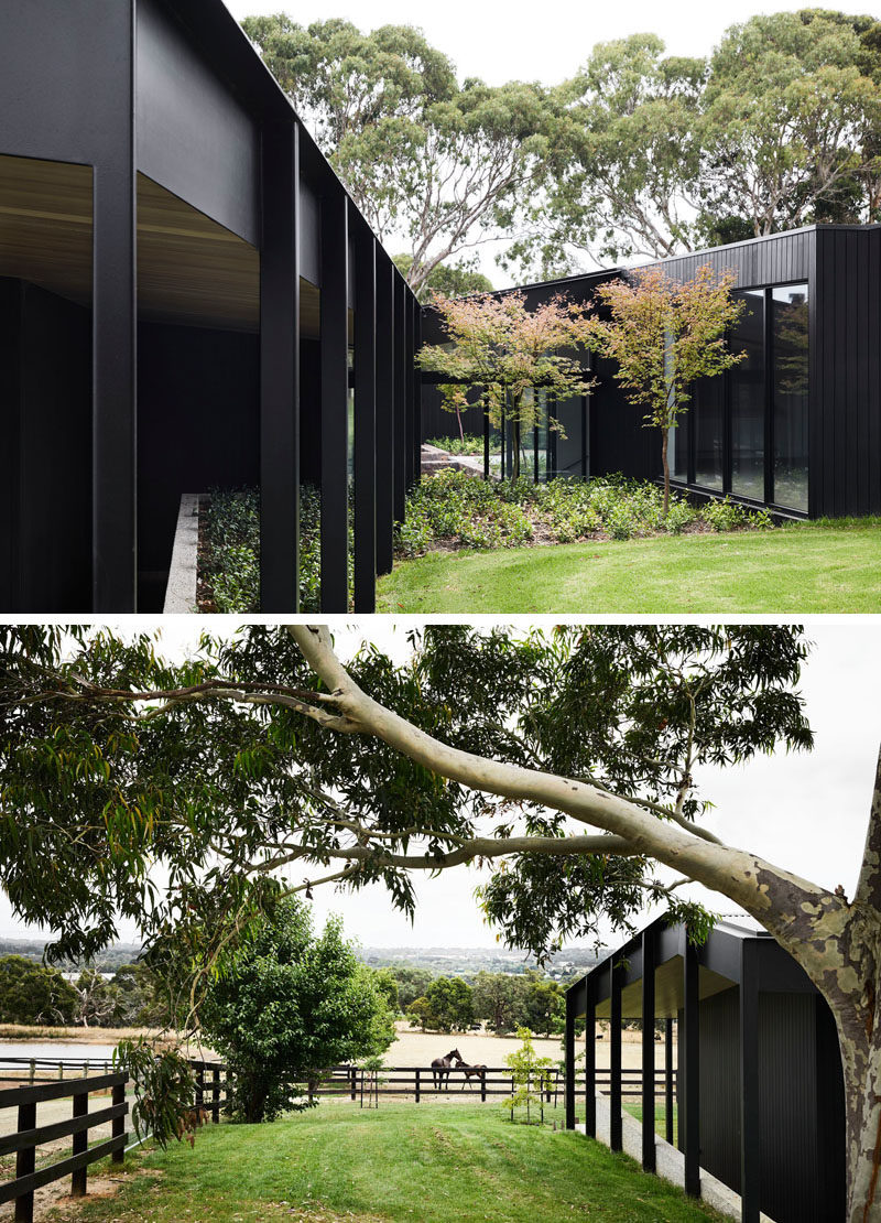 This modern house features blackened wood siding that contrasts the green landscaping. #ModernHouse #Landscaping