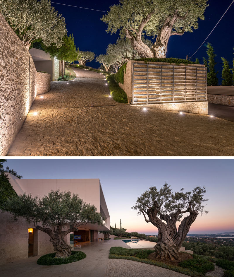 A steep stone driveway lined with trees leads from the street up to a modern house. #Driveway #ModernLandscaping