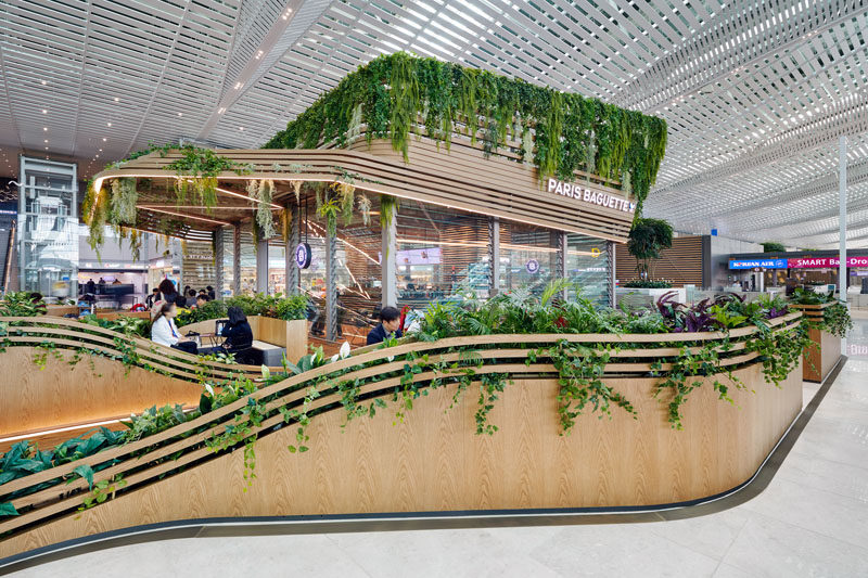 UNStudio have designed a pair of modern cafes within Incheon Aiport in South Korea, that feature wood and glass exteriors, lots of plants, and curved seating areas that connect the two locations. #Cafe #Retail #Architecture #Landscaping