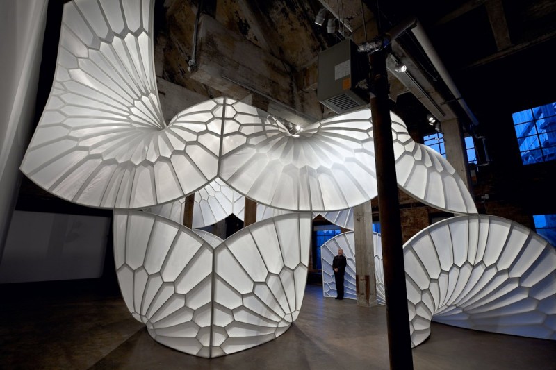 'A History of Aviation' by David Henderson