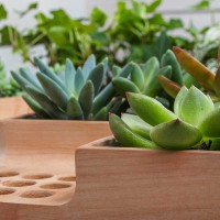 طراحی خلاقانه،خلاقیت در طراحی،خلاقیت، رومیزی خلاقانه