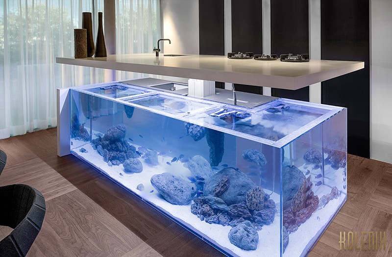 A kitchen island with an aquarium inside it