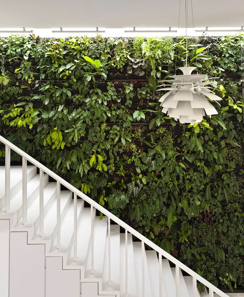 A green wall next to the stairs