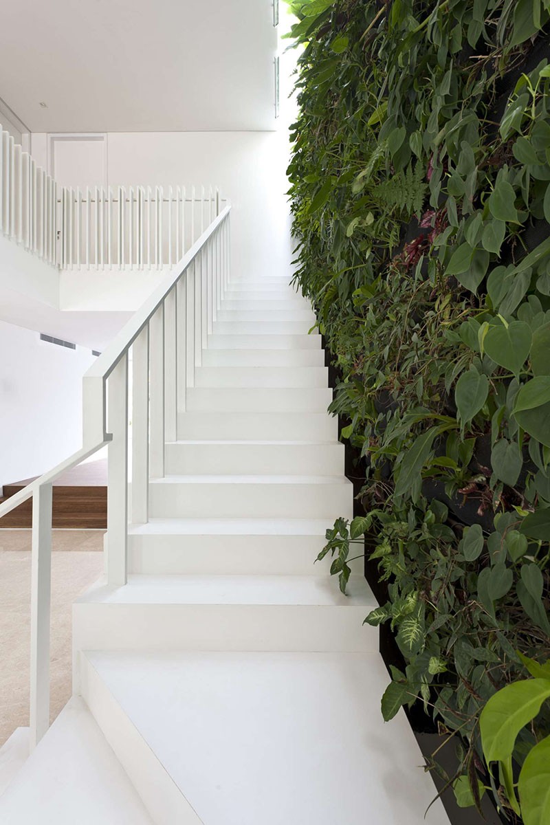 A green wall next to the stairs