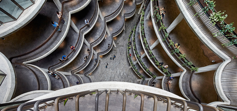 Learning Hub by Heatherwick Studio