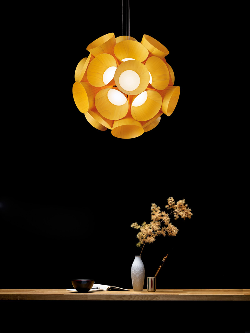 Burkhard Dämmer Designs Dandelion For LZF