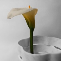 Little Gerla By Paolo Ulian And Moreno Ratti