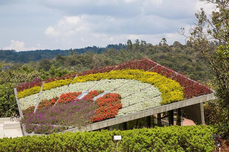 Roof garden