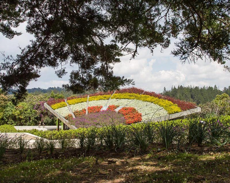 Roof garden