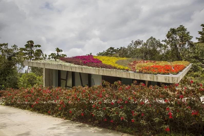 Roof garden