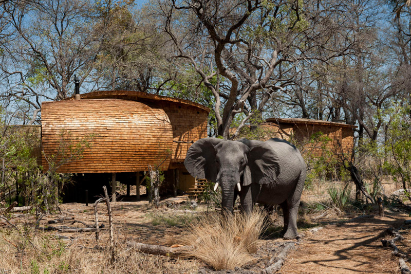 Sandibe Okavango Safari Lodge by Michaelis Boyd and Nick Plewman