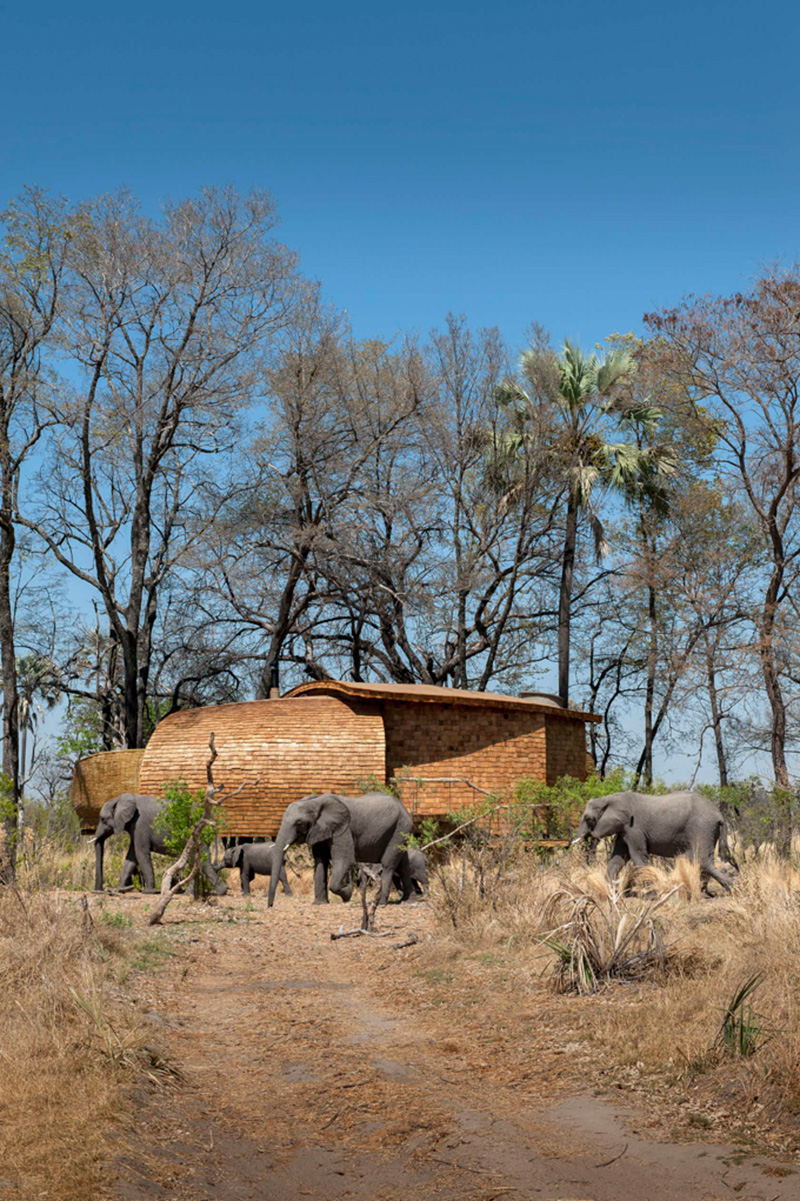 Sandibe Okavango Safari Lodge by Michaelis Boyd and Nick Plewman