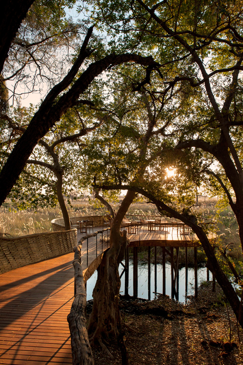 Sandibe Okavango Safari Lodge by Michaelis Boyd and Nick Plewman