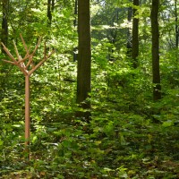 Y Coat Stand by Baptiste Ducommum for Klybeck