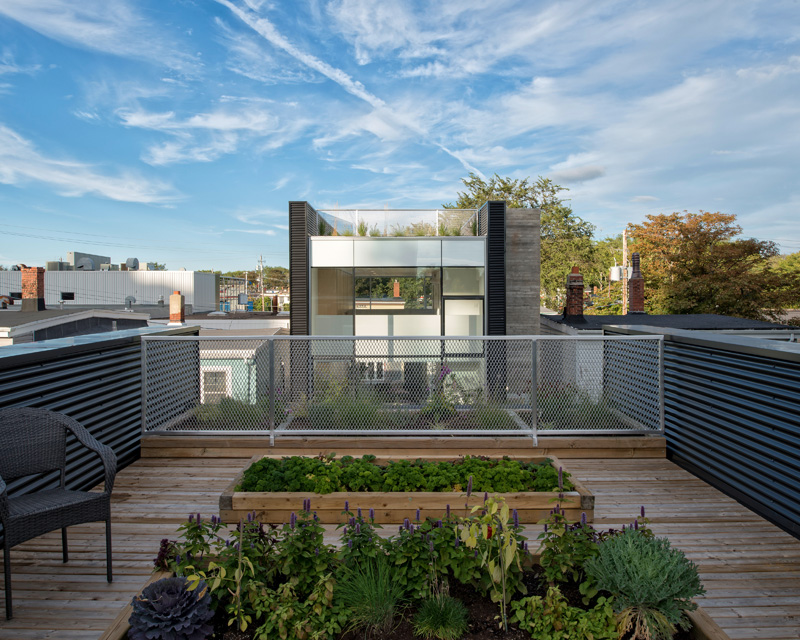King Street Live/Work/Grow By Susan Fitzgerald Architecture
